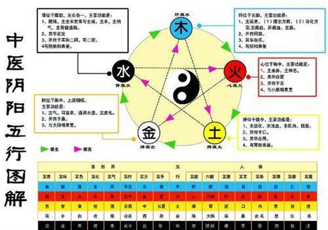 金和水|五行是水生金、还是金旺水 金生水是金旺还是水旺